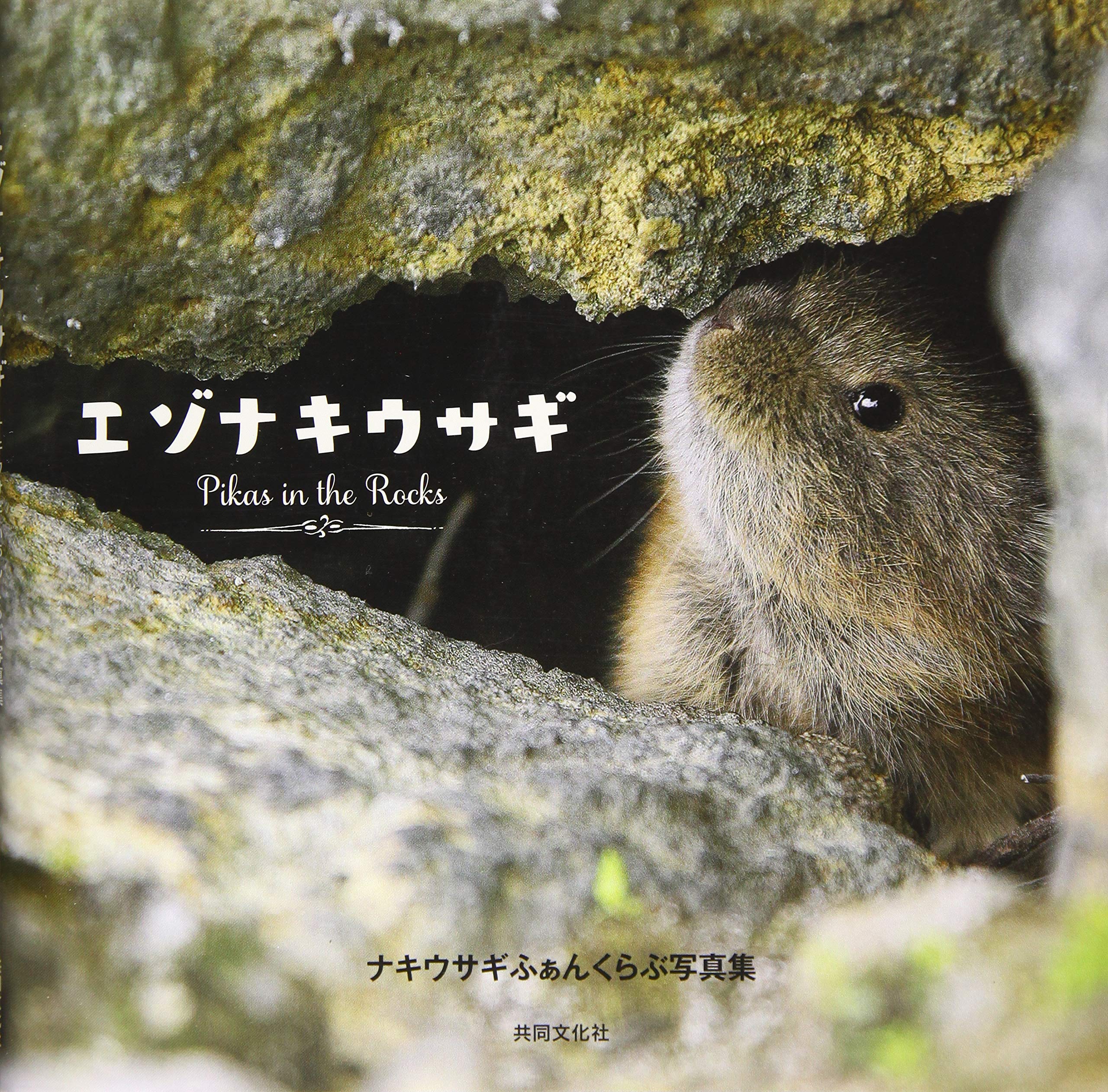 エゾナキウサギ Pikas In The Rocks ナキウサギふぁんくらぶ写真集 削除 ナキウサギふぁんくらぶ 削除 削除 本 通販 Amazon