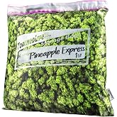 Torched Pineapple Express Stash Pillowcase with Secret Pocket | Decorative Throw Pillow Cushion with Cool Hidden Compartment | Fits 16 x 16 Inch Pillow Insert | Weed Decor | Weed