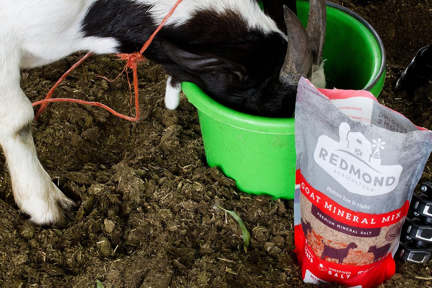 Redmond – Goat Mineral Supplement Mix, Unrefined Salt, 5 lbs: Health & Personal Care