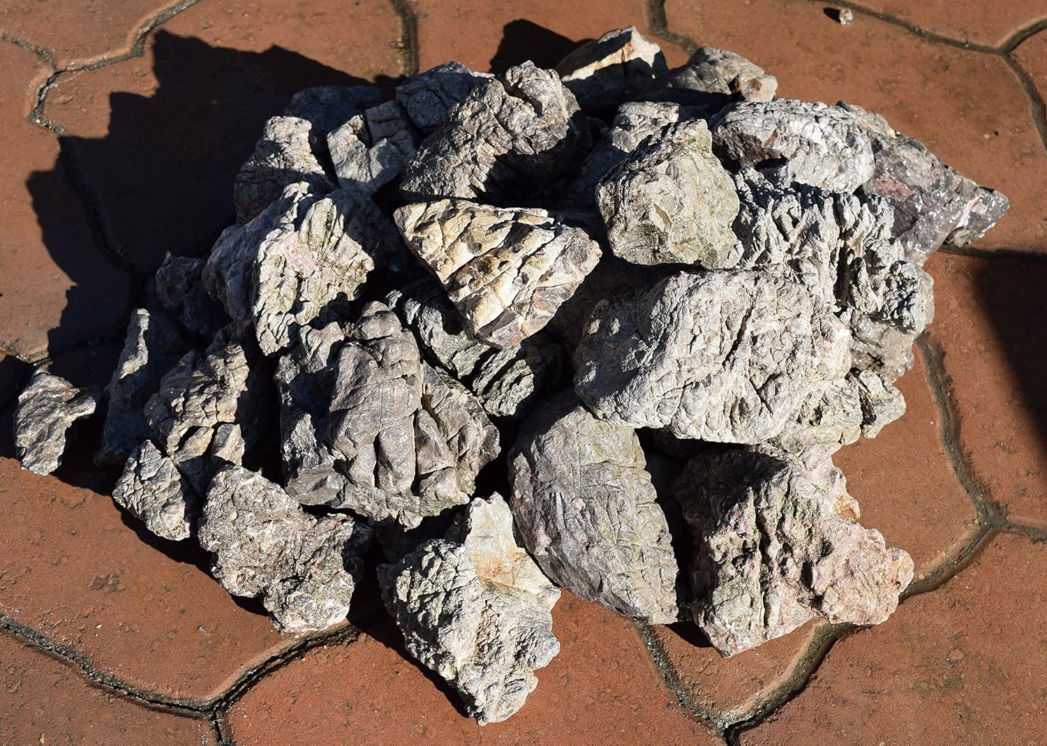 Amazon Com Manzanita Driftwood 20lb Elephant Skin Stone For
