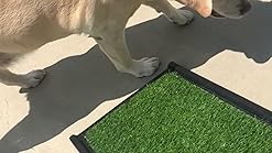 natural step dog ramp