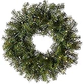 National Tree Company 24 in Pre-Lit Norwood Fir Artificial Christmas Wreath, Christmas Decoration with 50 Clear LED Lights, 250 Tips, Timer, Green