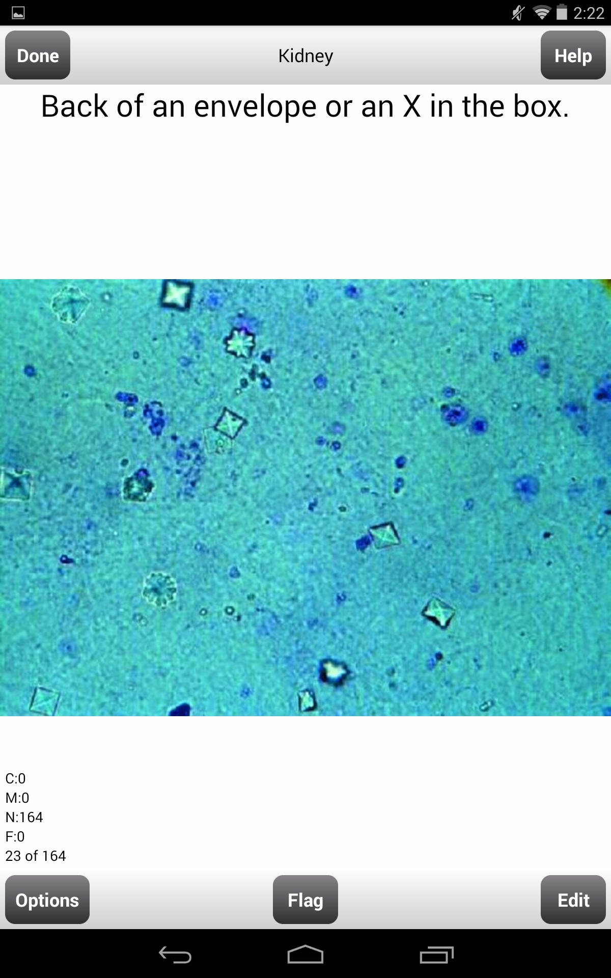 USMLE Step 2 CK Flashcards Appstore for Android