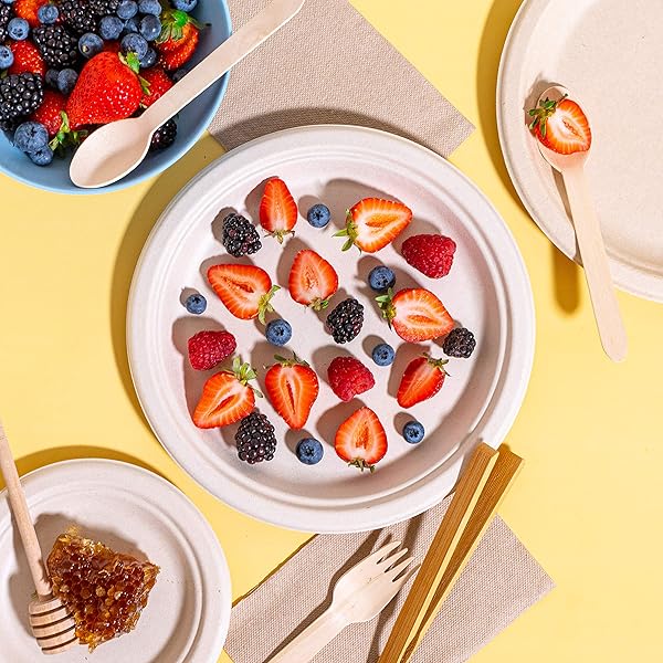 BEELEEVE DISPOSABLE PAPER PLATES – BIODEGRADABLE  125CT WHITE (10 INCH)