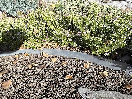 isskohli Rasenkante 1 m verzinkt Beeteinfassung Beetumrandung Mähkante Metall Palisade