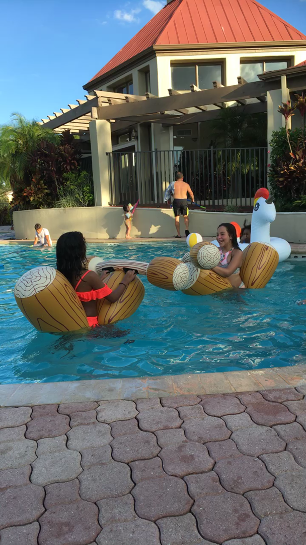 Swimline Log Flume Joust Set Toys & Games