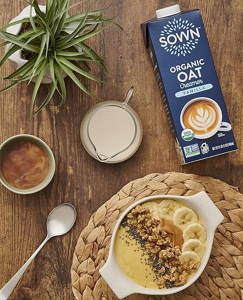 SOWN ORGANIC OAT CREAMER VANILLA – BARISTA OAT MILK NON DAIRY COFFEE CREAMER – PLANT BASED, DAIRY-FREE, VEGAN, GLUTEN-FREE, NON-GMO, SHELF STABLE – 32OZ