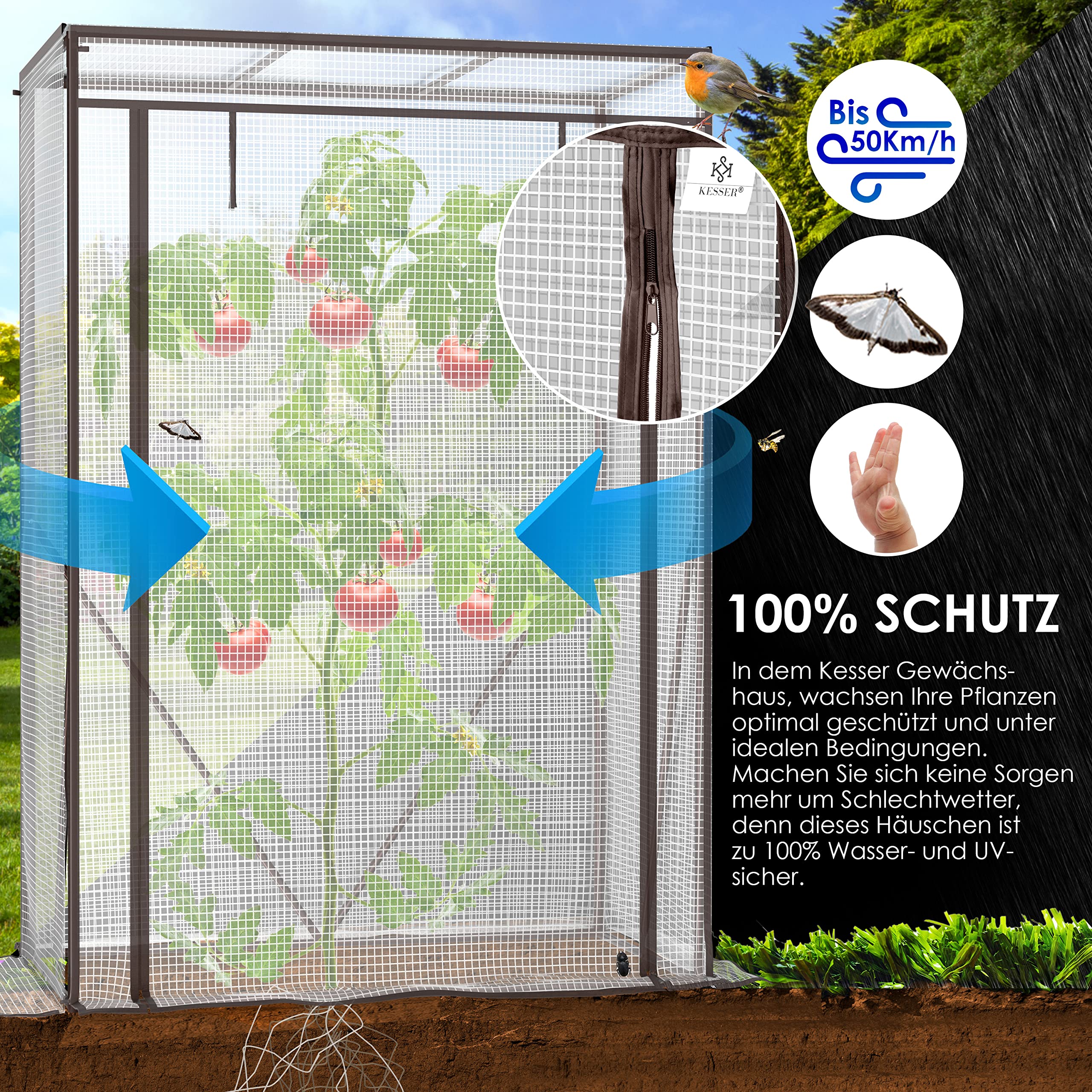 KESSER® Premium Tomatengewächshaus Foliengewächshaus, Gewächshaus klein, Tomatenhaus, Treibhaus mit Tür zum Aufrollen - 100 x 50 x 150 cm Frühbeet, Gemüse, Blumen, Obst, Inkl. Montagezubehör, Garten 3