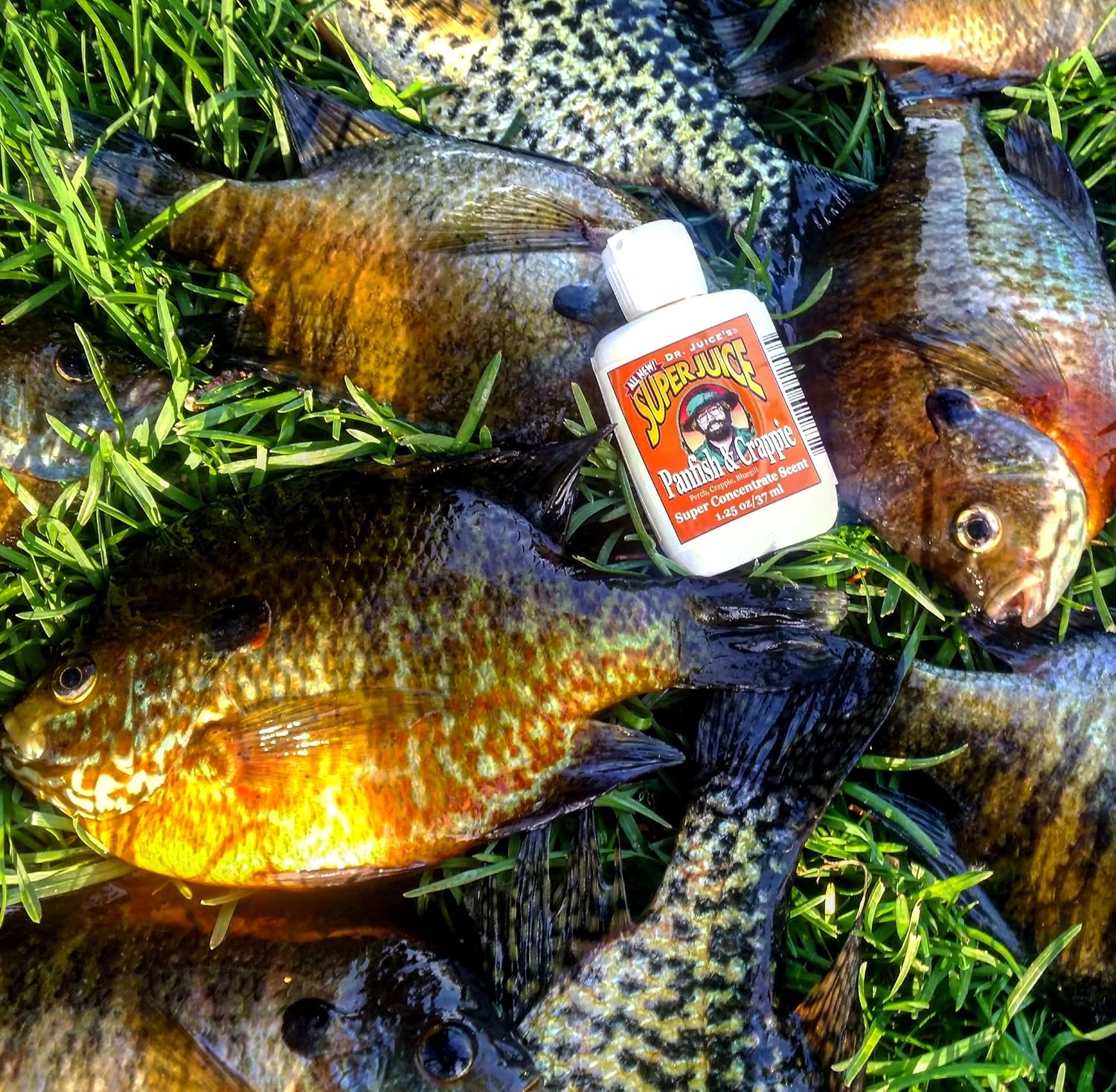 dr juice fish attractant