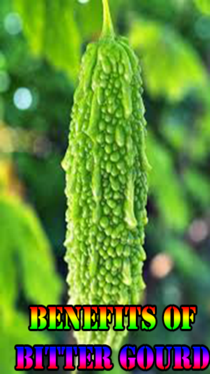 Benefits of Bitter for Android