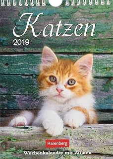 Katzen Kalender 2019 Wochenplaner 53 Blatt Mit Zitaten Und