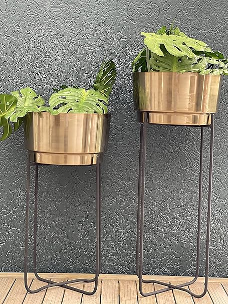 Urban Born Planter Flower pots for Home Gardening with Plant Stands and Flower Pot for Home d