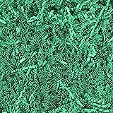 Worlds 1LB Crinkle Cut Paper Shred Filler for Gift