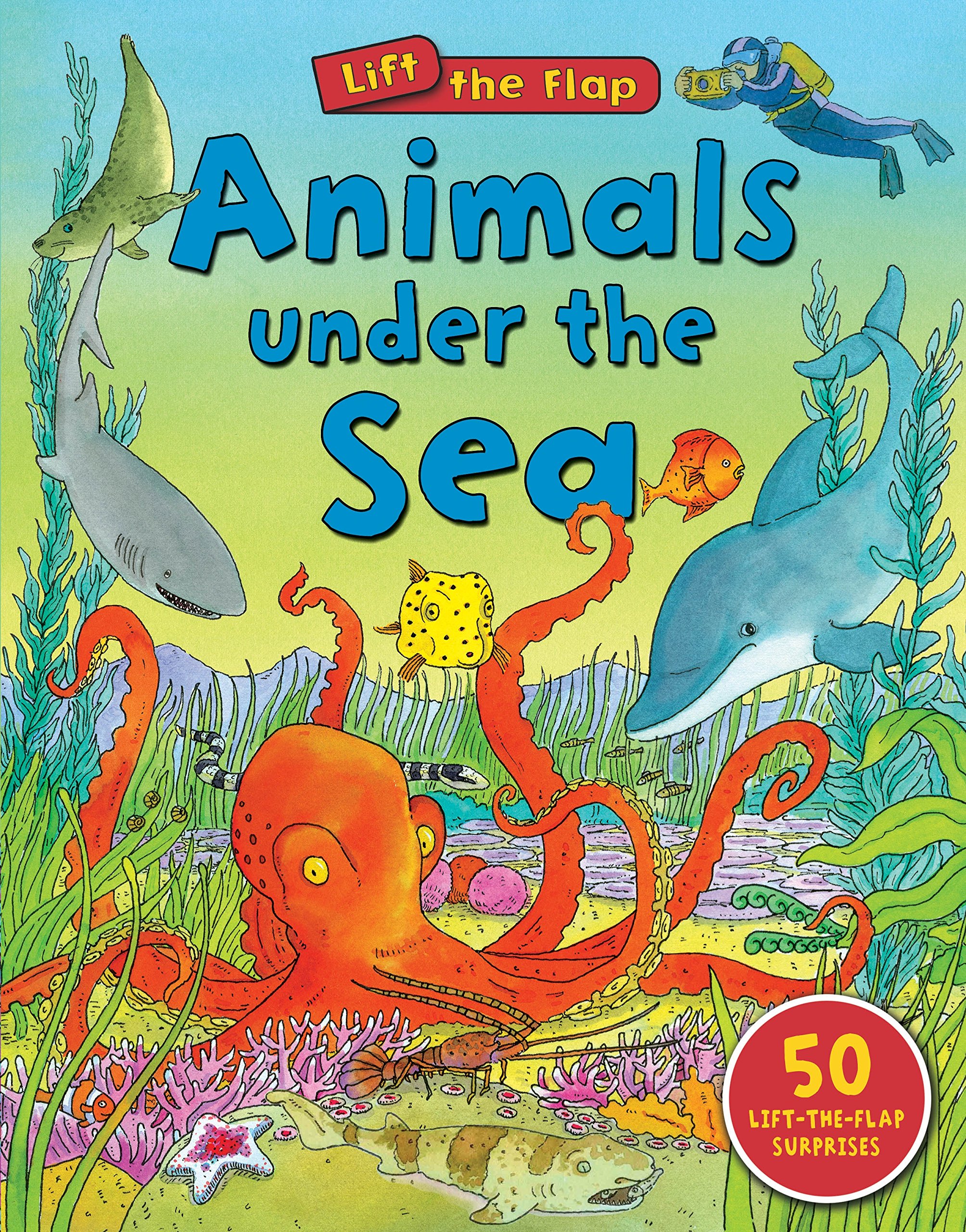 Amazon Animals Under The Sea Lift The Flap Lewis Anthony Biological Sciences