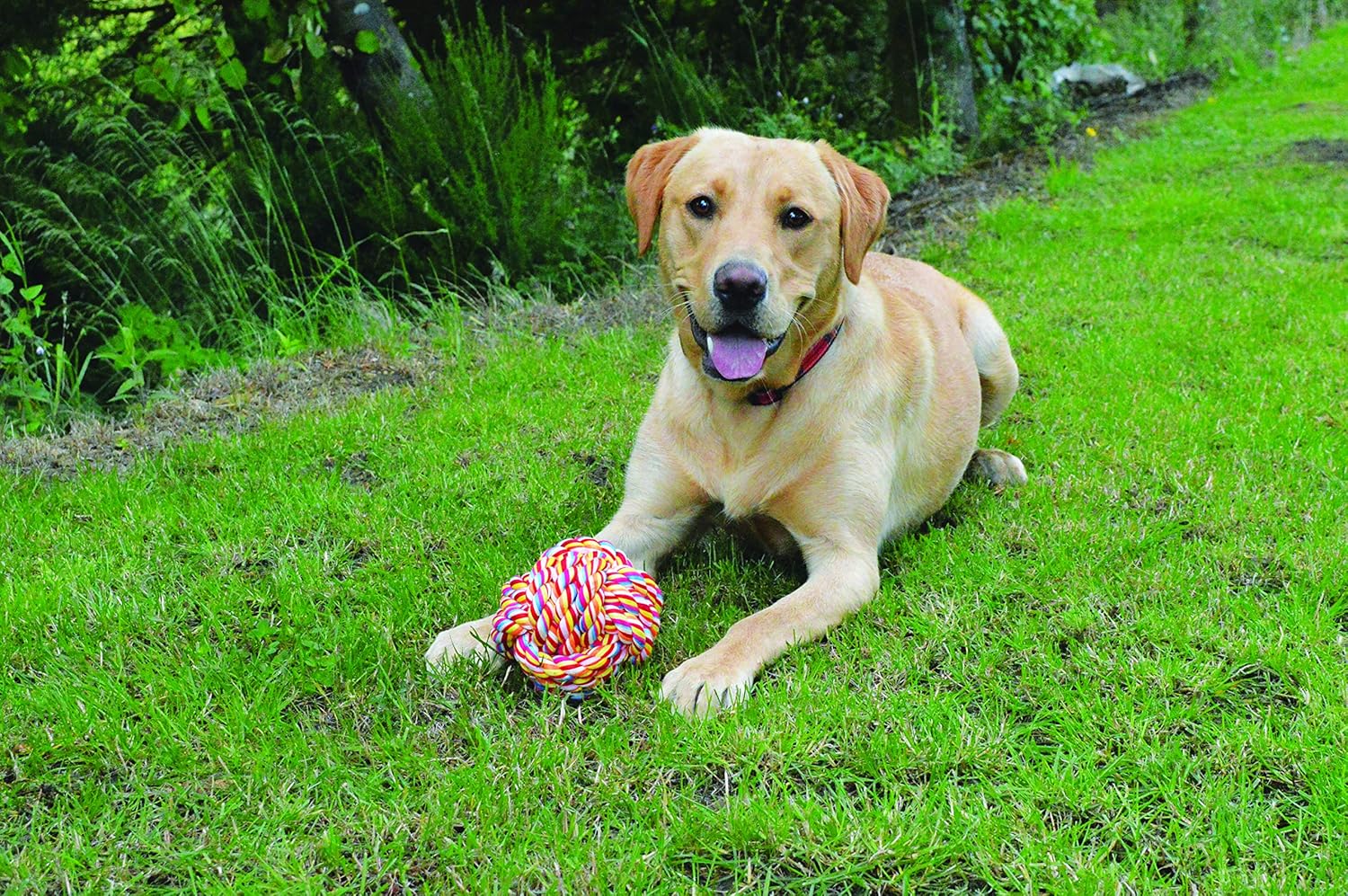 Nuts For Knots TwistTee”” Cotton Ball Dog Toy” BigaMart