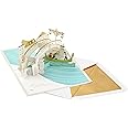 Hallmark Signature Paper Wonder Pop Up Love Card, Because I Have You (Birthday Card, Anniversary Card, Sweetest Day Card)