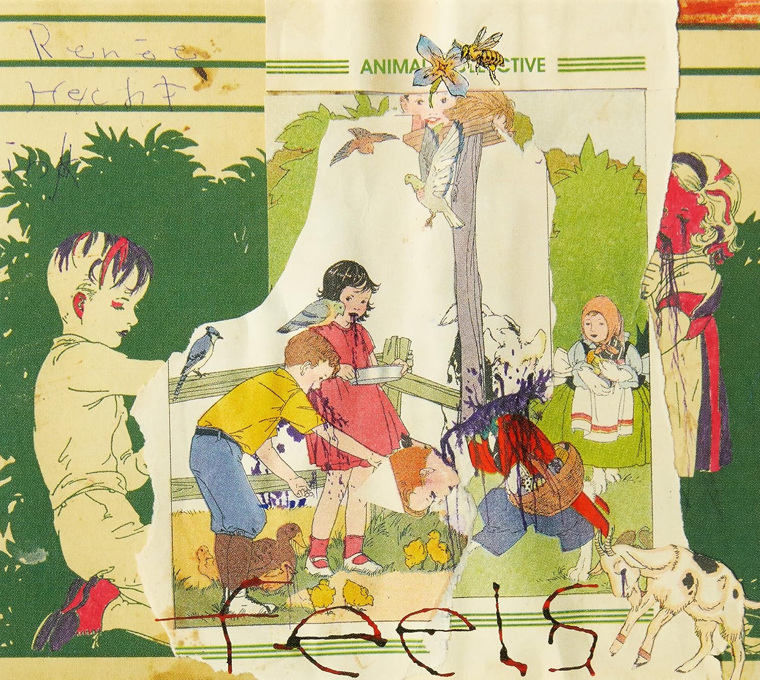ANIMAL COLLECTIVE - FEELS - Amazon.com Music