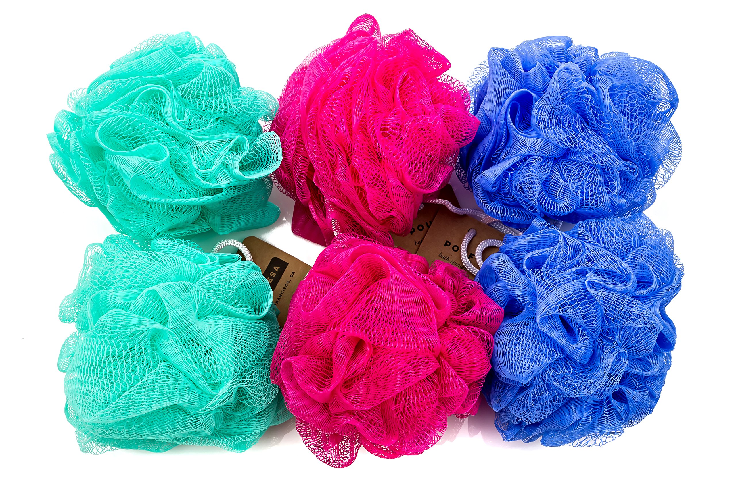 What Is The Best Loofah Sponge To Use At Roxann Canales Blog