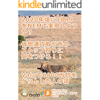 Bitcoin Fun Number 30 (Japanese Edition) book cover