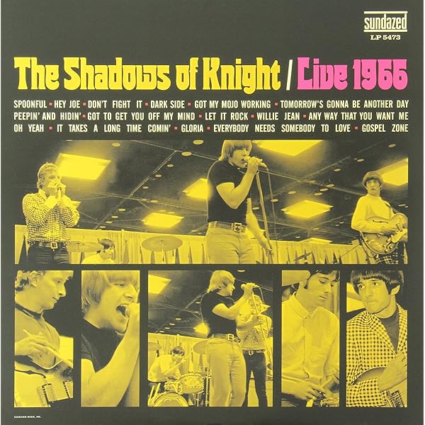 Amazon.com: The Shadows Of Knight - Gloria - Lp Vinyl Record: CDs