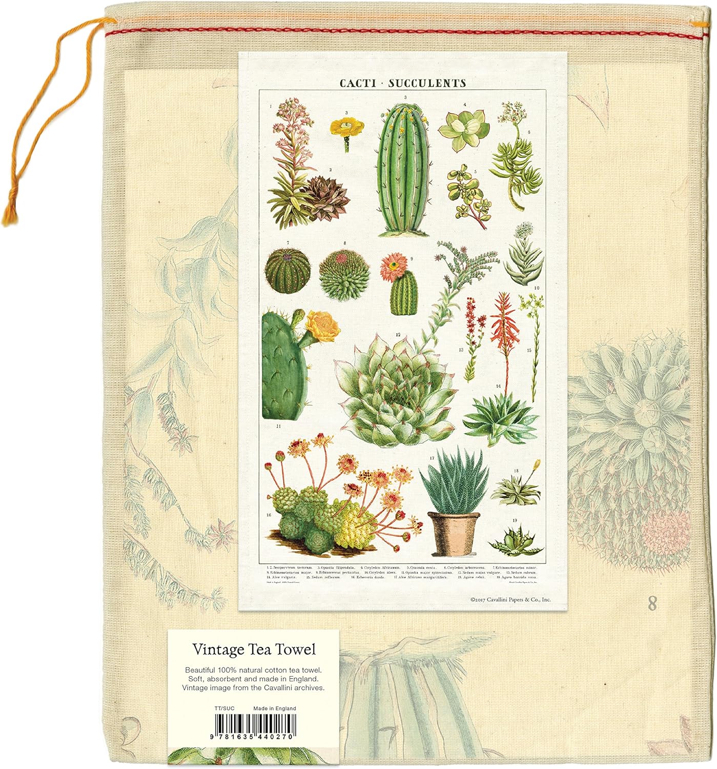 Amazon.com: Cavallini Papers \u0026 Co 