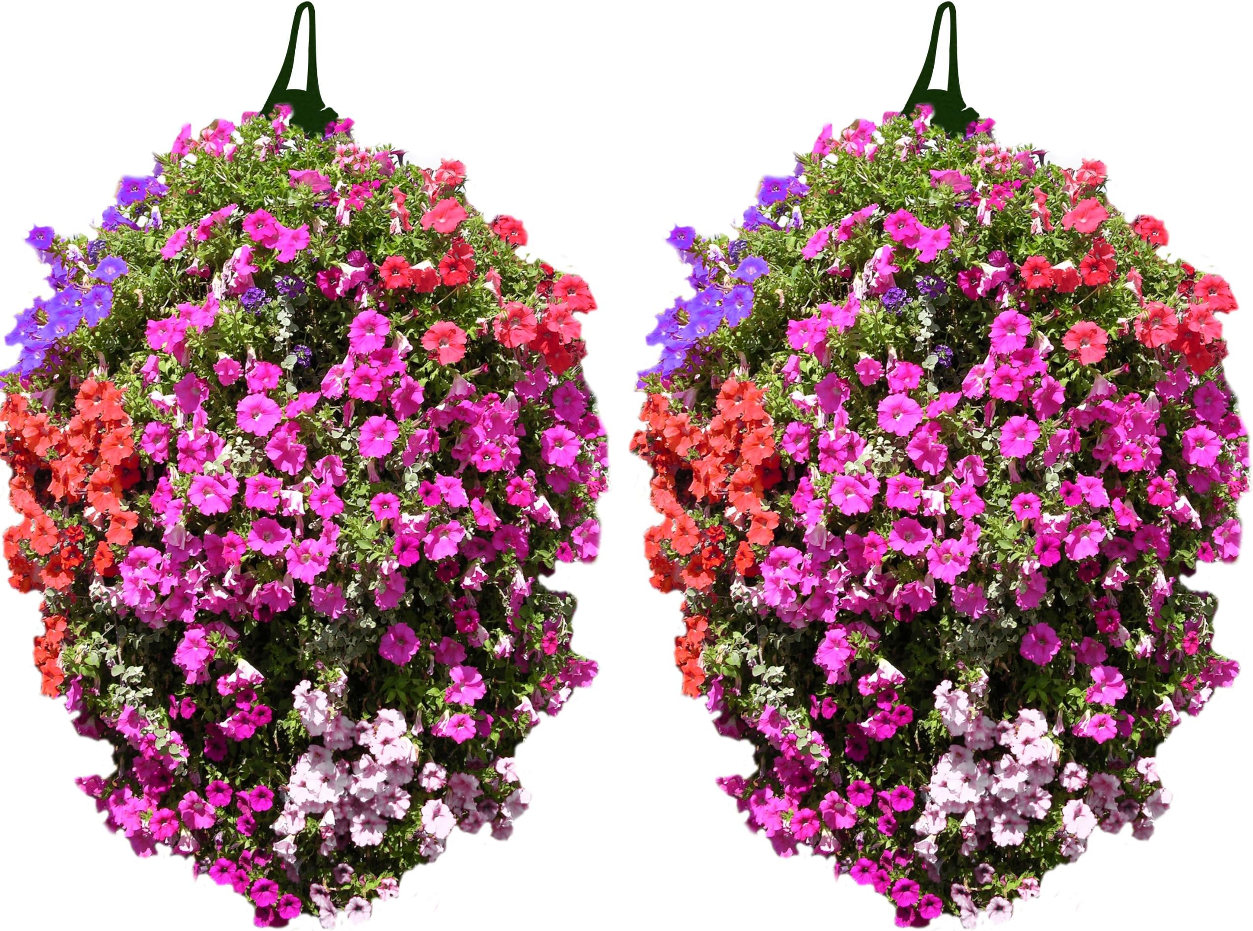 Greena® Flower Pouches - Pack of 4 - Make stunning flower displays!