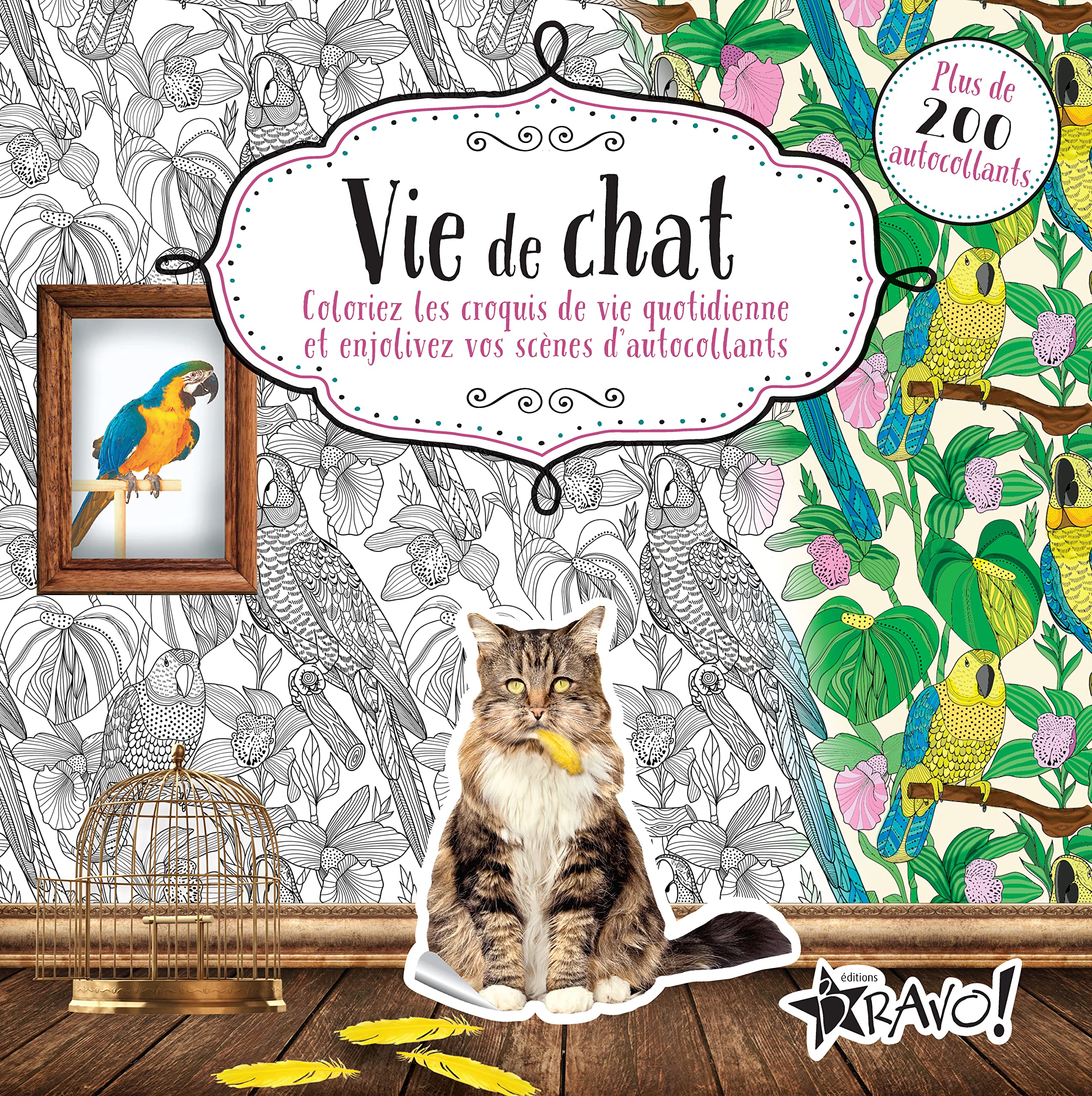 Vie De Chat Hors Collection Coloriez Les Croquis De Vie Quotidienne Et Enjolivez Vos Scenes D Autocollants French Edition Collectif Amazon Com Books