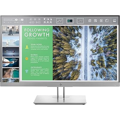 HP EliteDisplay E243 23.8-Inch Screen LED-Lit Monitor Silver (1FH47AA#ABA)