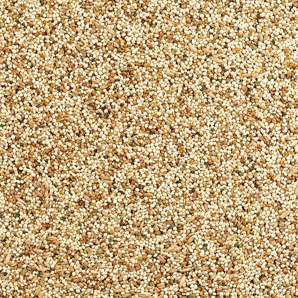 WILD HARVEST DAILY BLEND NUTRITION DIET FOR PARAKEET, CANARY AND FINCH 10 POUNDS