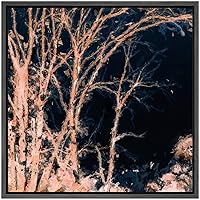 SIGNWIN Framed Canvas Wall Art Winter Trees Branch at Night with Black Sky Landscape Trees Oil Painting Impressionism Traditional Scenic Expressive for Living Room, Bedroom, Office - 16x16 inches