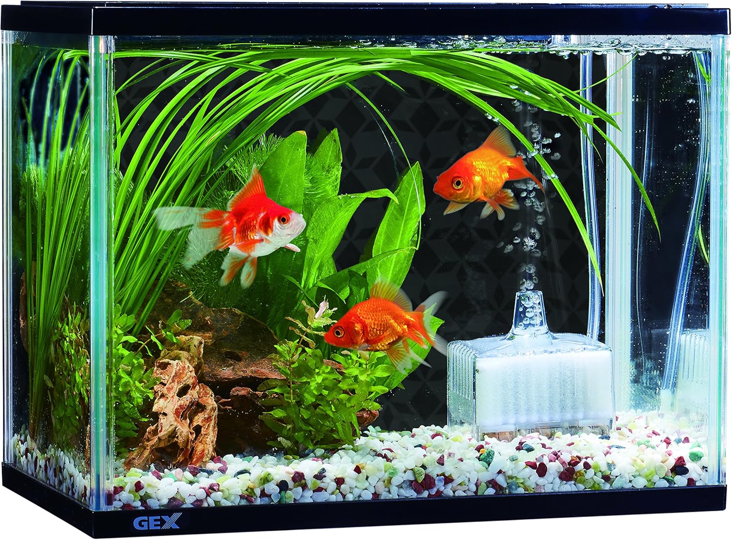 Amazon ジェックス 金魚のお部屋和彩 S ジェックス ペット用品 通販