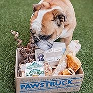 Pawstruck Natural Dog Chew Box: Small Dog (< 20 L