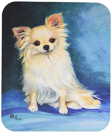 Caroline S Treasures Jazz Chihuahua Long Hair Mouse Pad Hot Pad