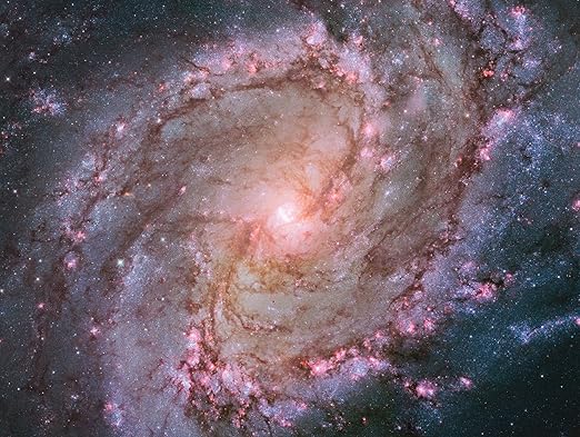 Amazon Com Spiral Galaxy M Viewed By Hubble Space Telescope High Definition Fine Art Print Posters Prints