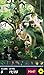 Hidden Object - Tree of Life