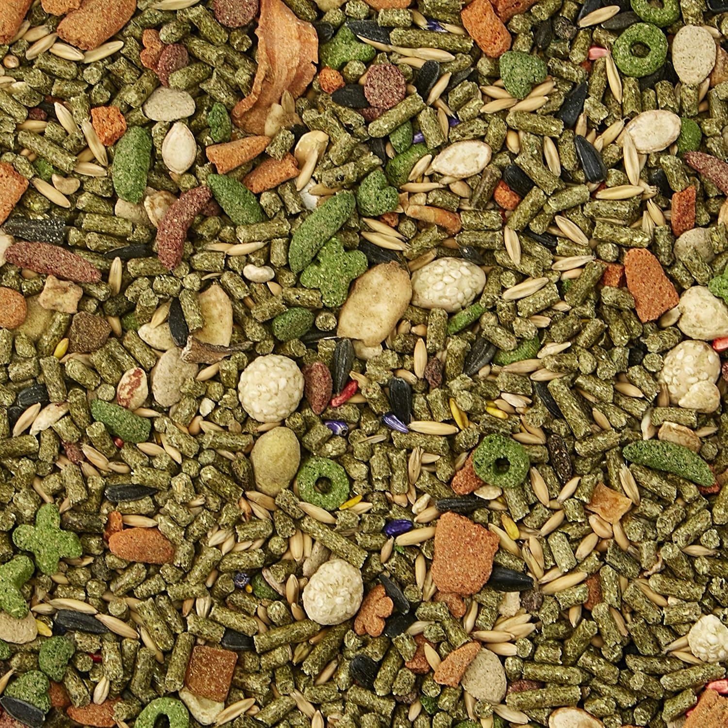 Kaytee Fiesta Rabbit Food 6.5 pounds : Dry Pet Food : Pet Supplies