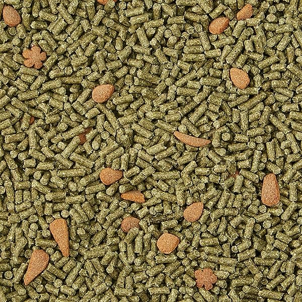 KAYTEE FORTI-DIET PRO HEALTH JUVENILE RABBIT FOOD 5LB