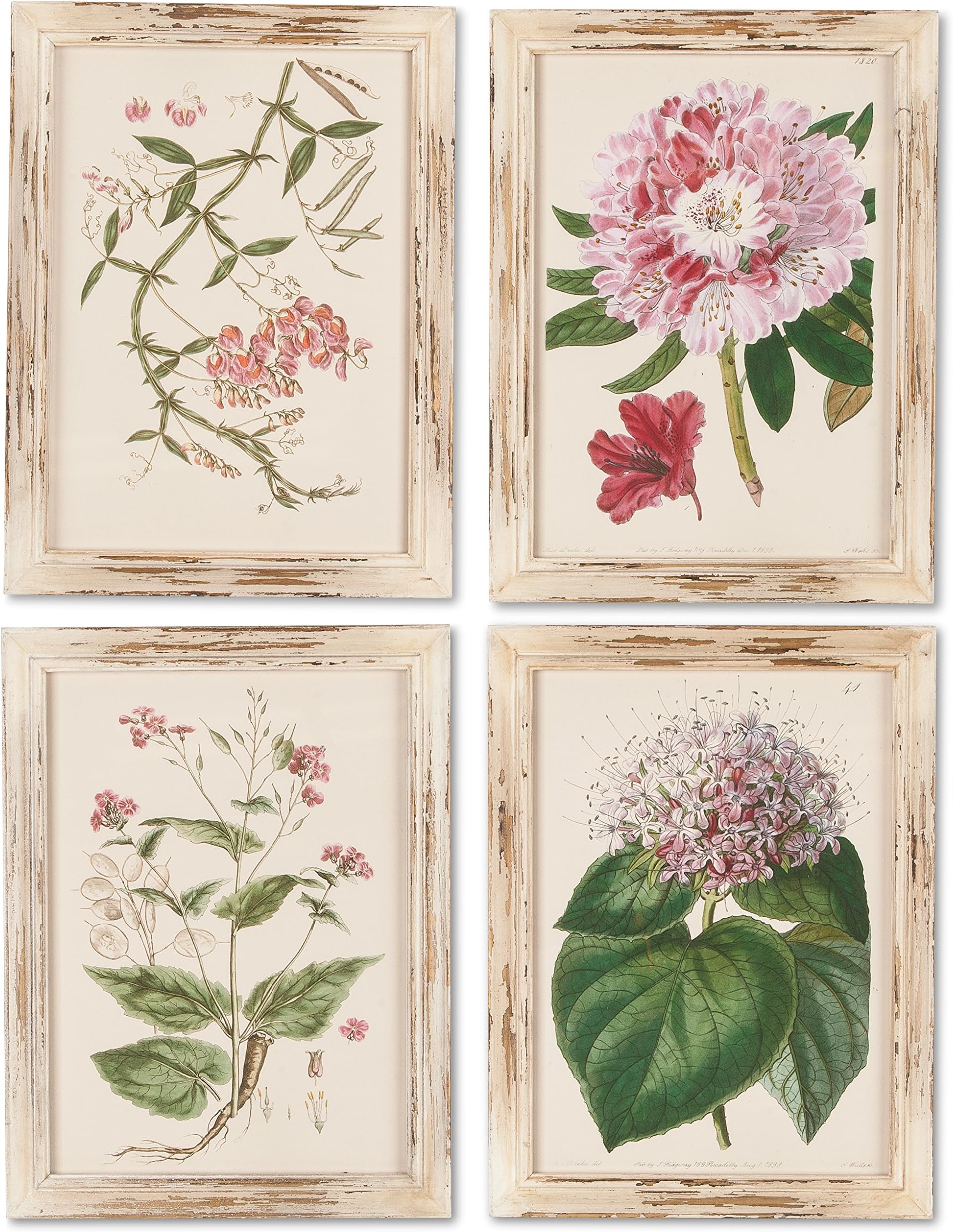 Gerson 4 Asst Pink Botanical Framed Home Decor, 12InL x 0.75InW x 16InH, Multicolor