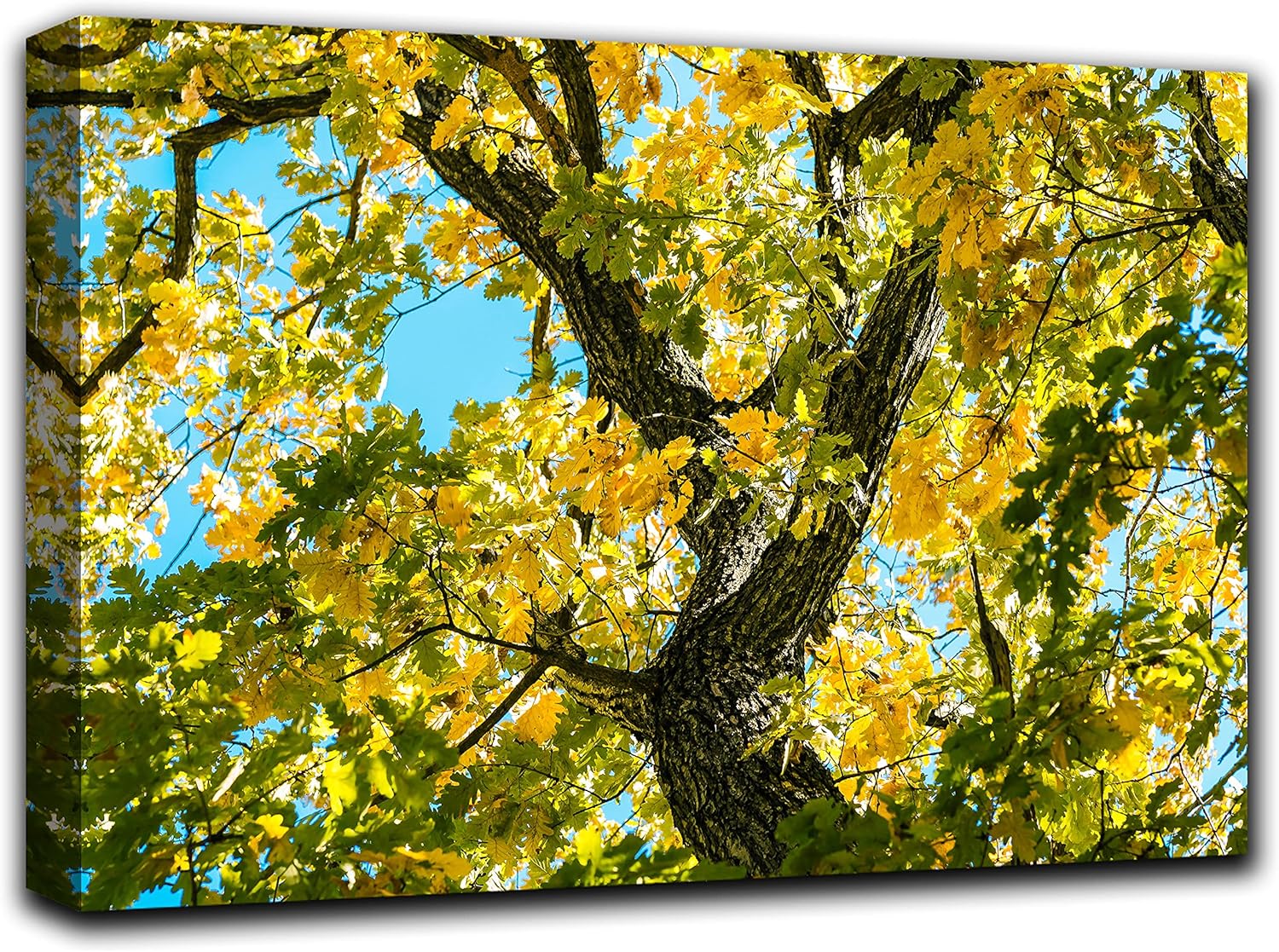 Oak Tree Branches Wall Art Decor Picture Painting Poster Print on Canvas Panels Pieces - Nature Theme Wall Decoration Set - Nature Sky Trunk Wall Picture for Living Room Bedroom 33 by 50 in