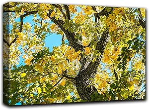 Oak Tree Branches Wall Art Decor Picture Painting Poster Print on Canvas Panels Pieces - Nature Theme Wall Decoration Set - Nature Sky Trunk Wall Picture for Living Room Bedroom 33 by 50 in