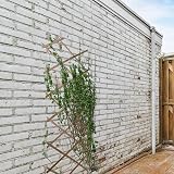 DIVCHI Wooden Trellis Expandable Garden Wall Trellis Pack of 3 180x60 Natural view 3