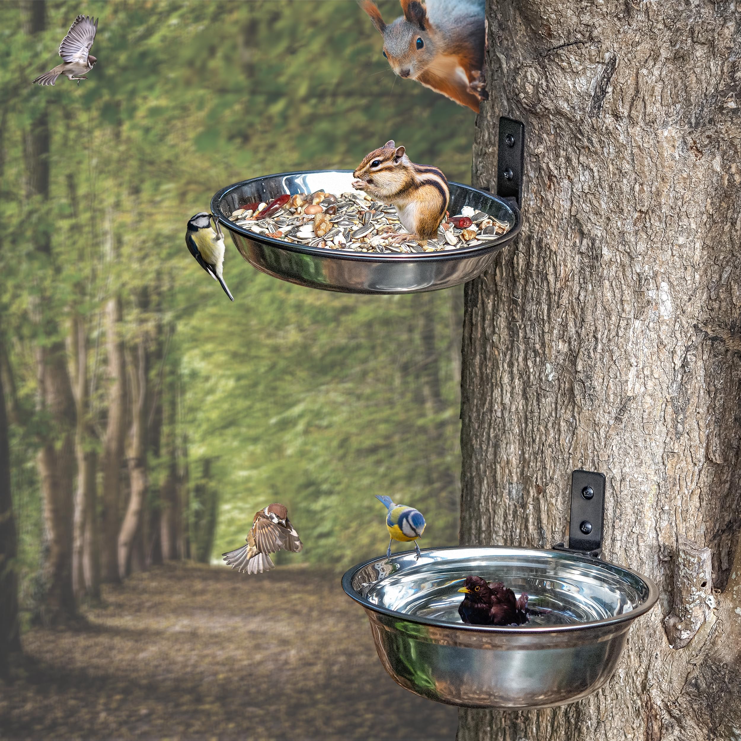 2 Pack 8 Inch Bird Feeders and Squirrel Feeder Outside Hanging Tree Mounted Bird Feeding Station with Water Bowl for Wall Mounted, Stainless Steel Bowl for Outdoor Fence, Deck
