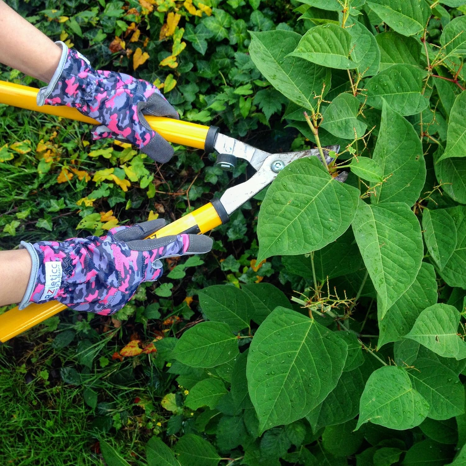 Garden Gloves Women Premium, For Gardening, Roses & Yard Work with Protective Grip and Breathable Microfiber with Touchscreen. Limited Offer, Buy Now!: Clothing