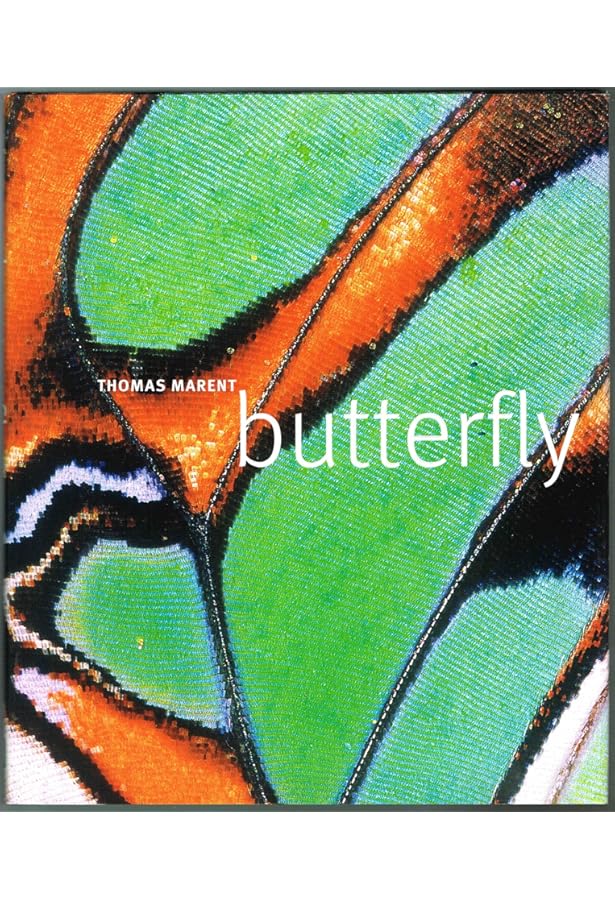 Butterflies of the World: Hoskins, Adrian: 9781921517334: Amazon