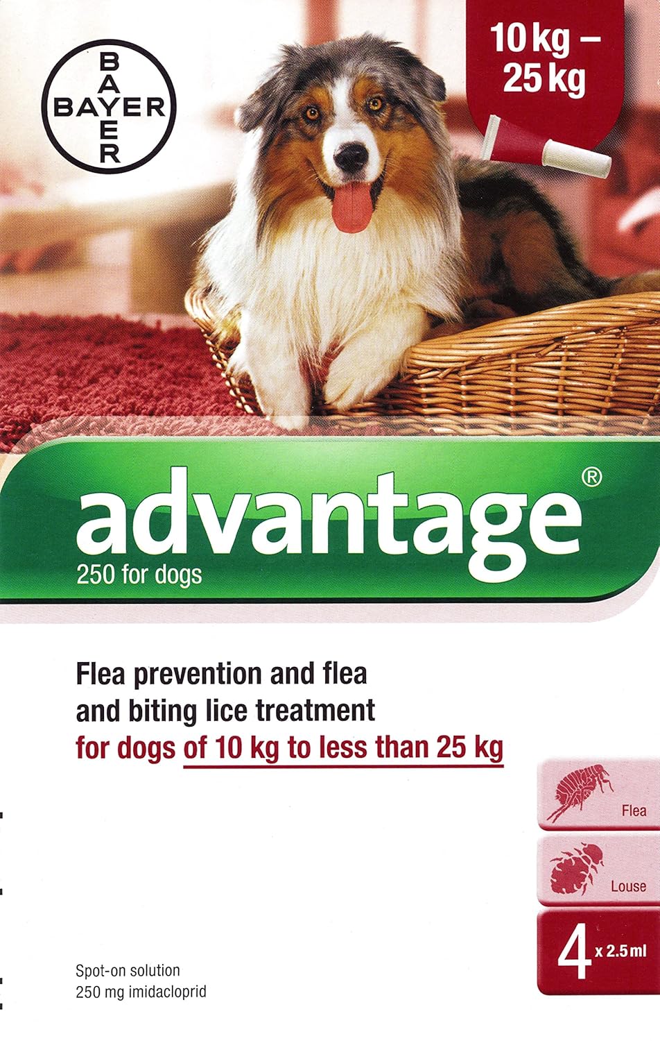 advantage 250 for dogs