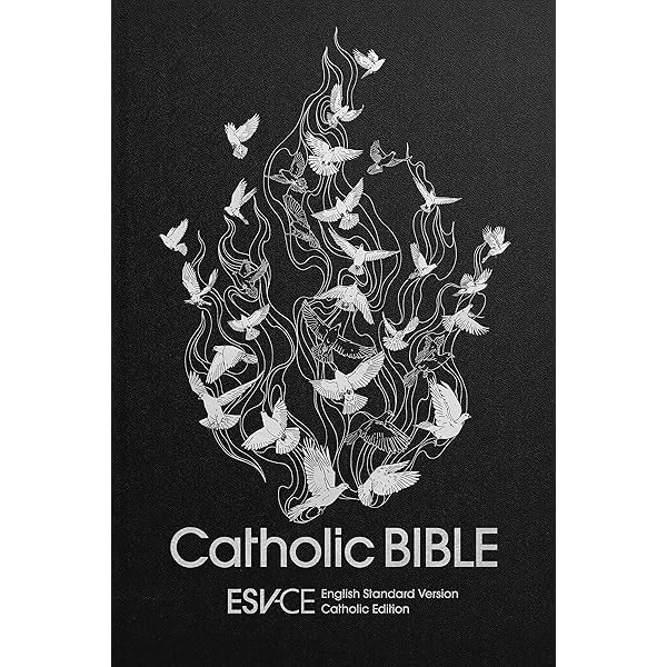 アメリカ聖書委員会 点字本 洋書 アメリカ標準版聖書 アメリカ標準版聖書 - Wikipedia