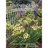 The Illustrated Guide to Daylilies