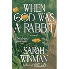 When God Was a Rabbit
