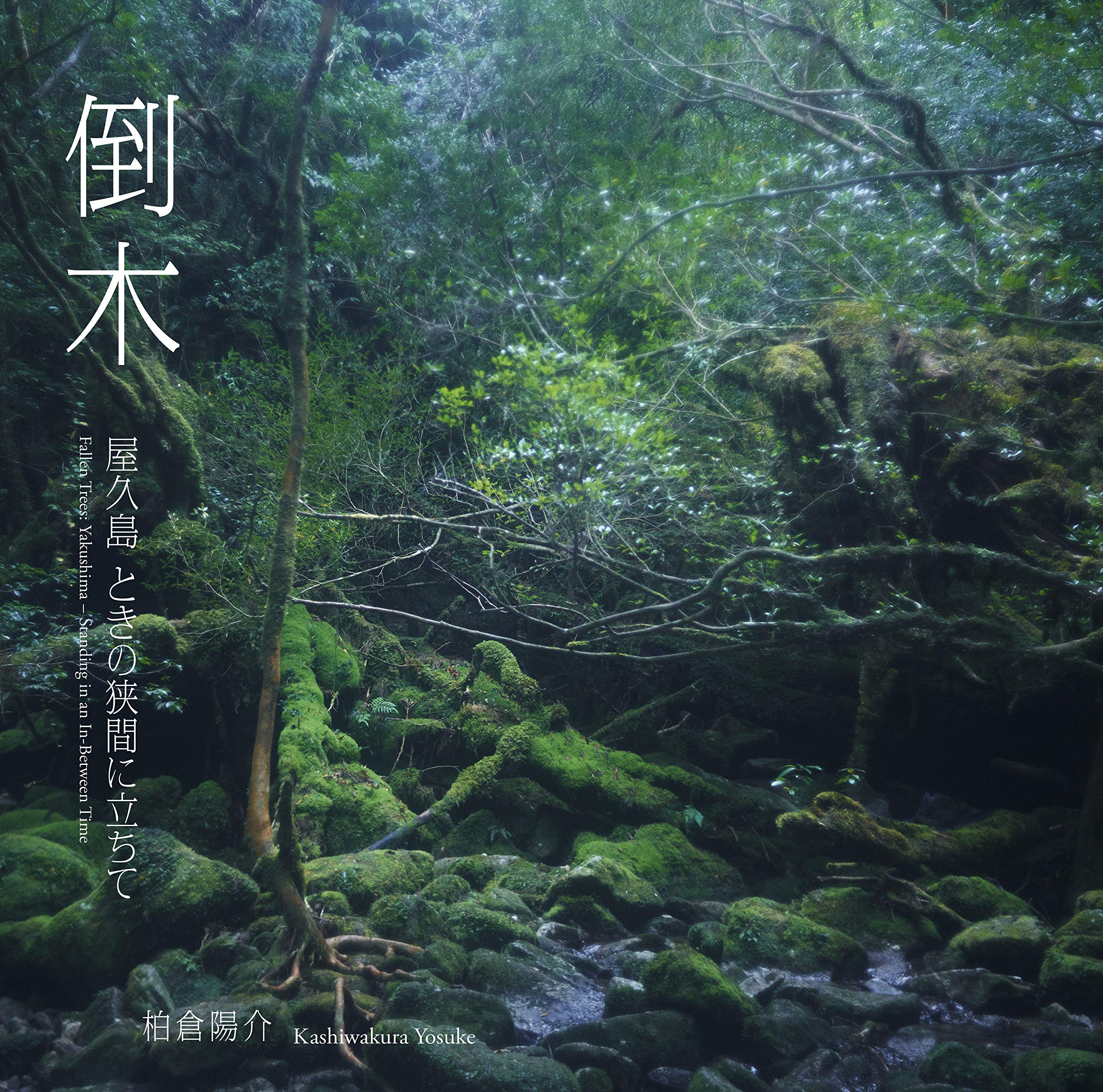 倒木 屋久島 ときの狭間に立ちて Amazon Com Books