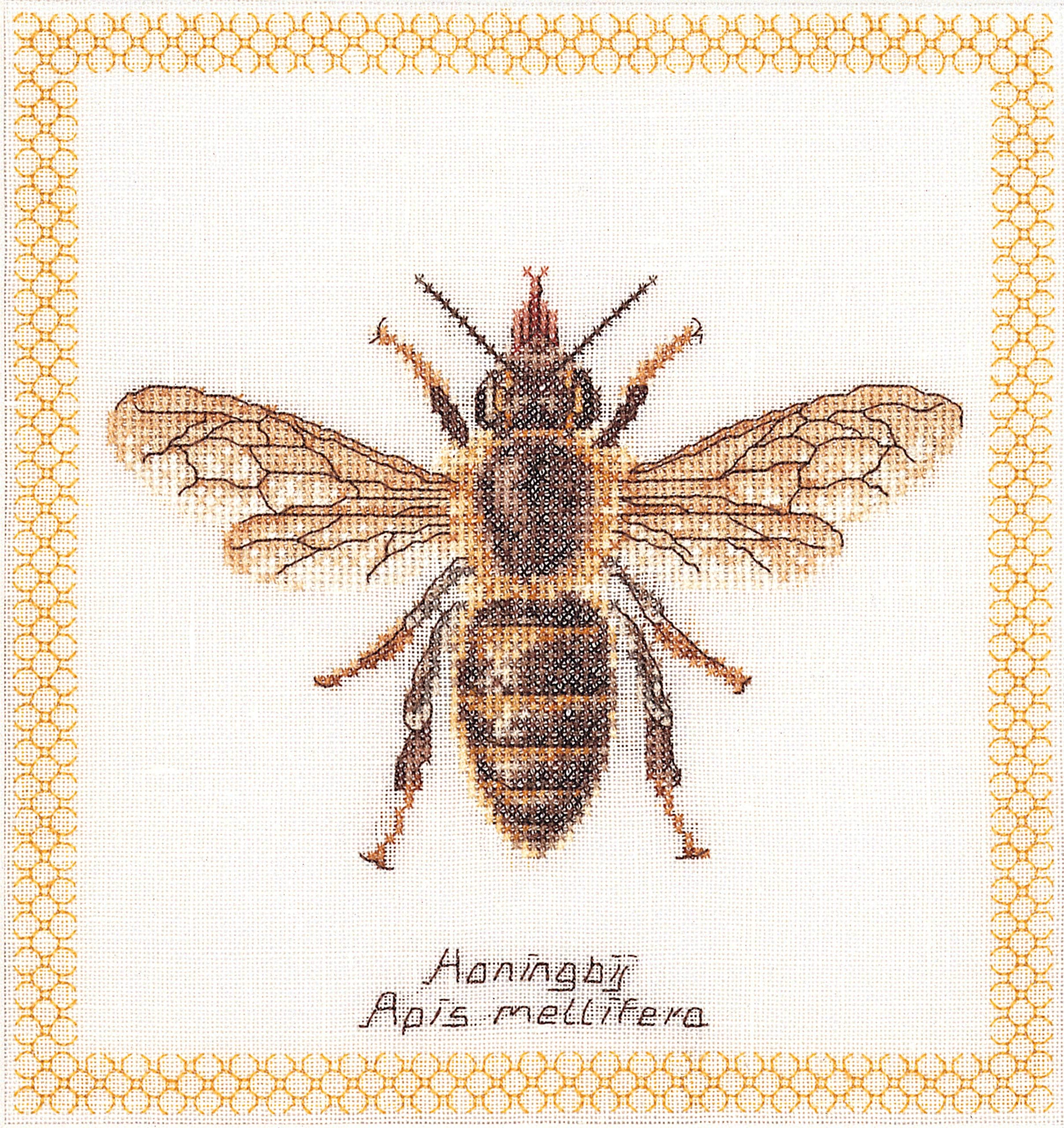 Thea Gouverneur - Counted Cross Stitch Kit - Honey Bee - Aida - 16 Count - Embroidery Kit for Adults - DMC Embroidery Threads and Other Cross Stitch Supplies Included - 3017A